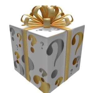 Elegant Women's mystery bundle